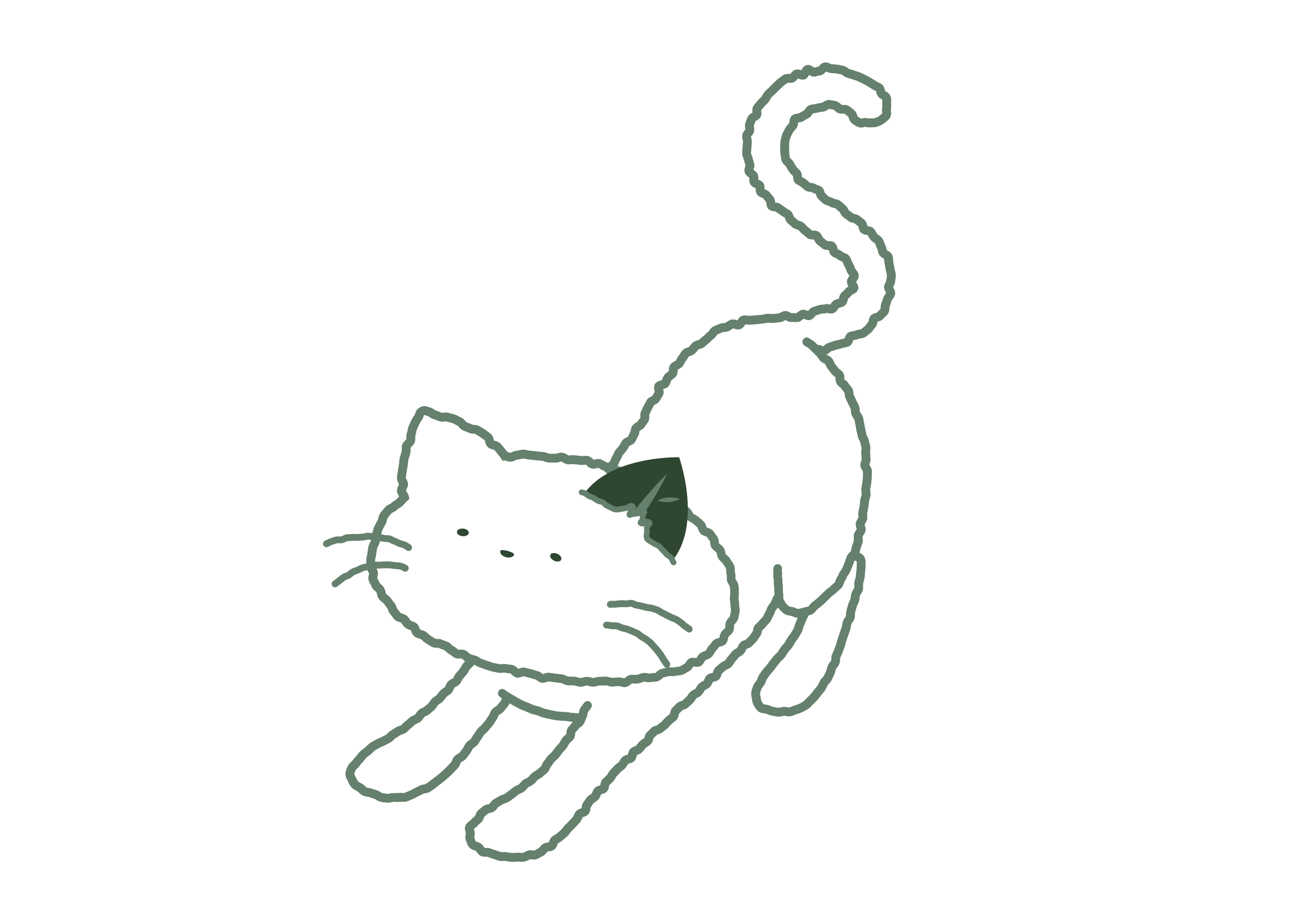 그냥이 모션 8